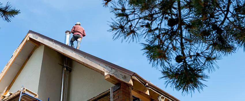 Birds Removal Contractors from Chimney in Mount Vernon, OH